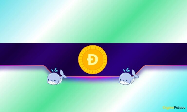 DOGE CB 4