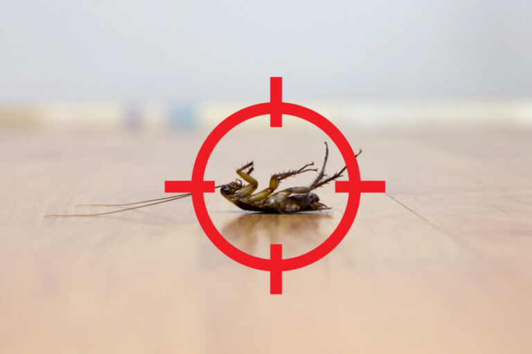 shutterstock 516876322 scaled